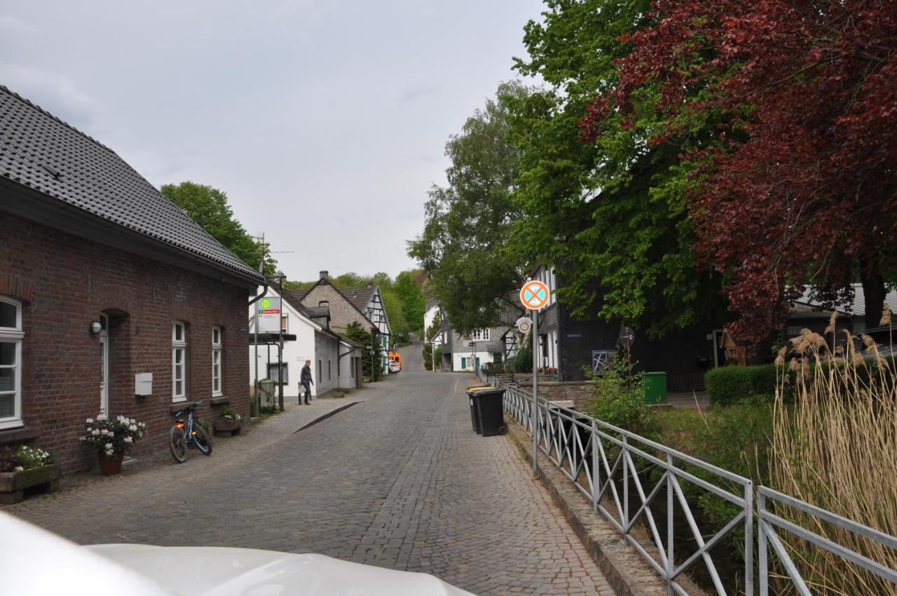 Sterner Obgruiten Haan Exteriér fotografie